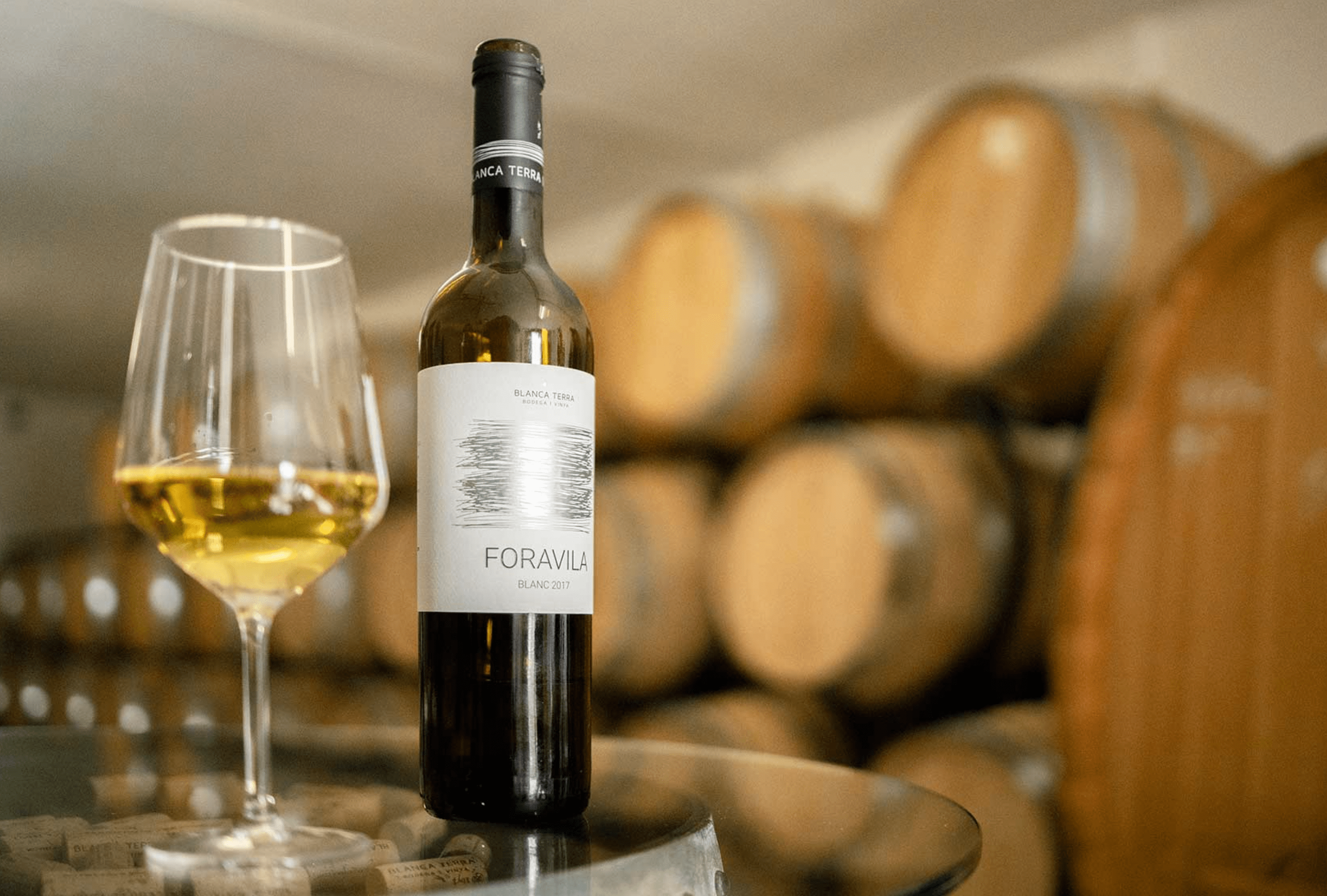 Cata de Vinos