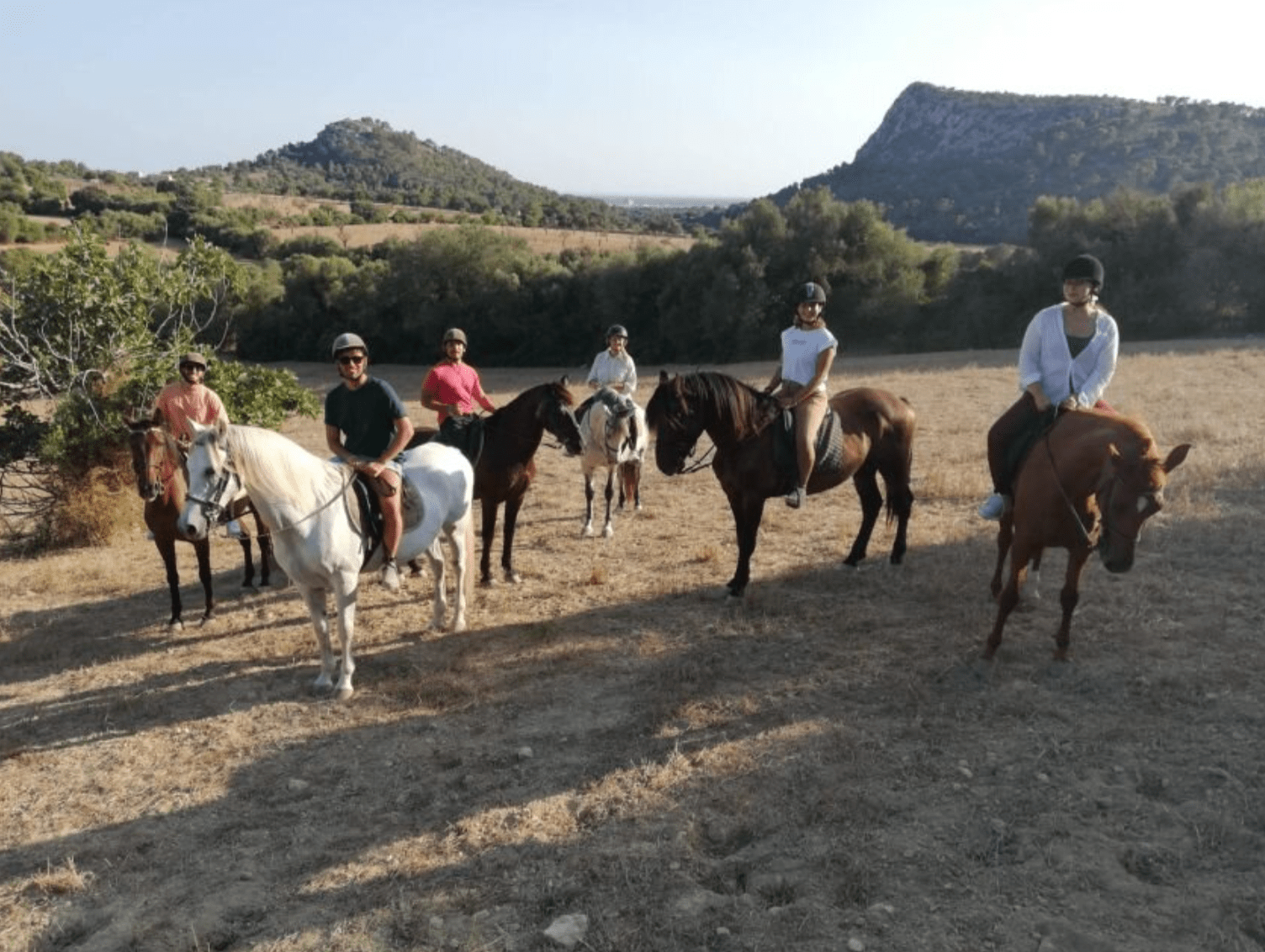 Paseo a Caballo